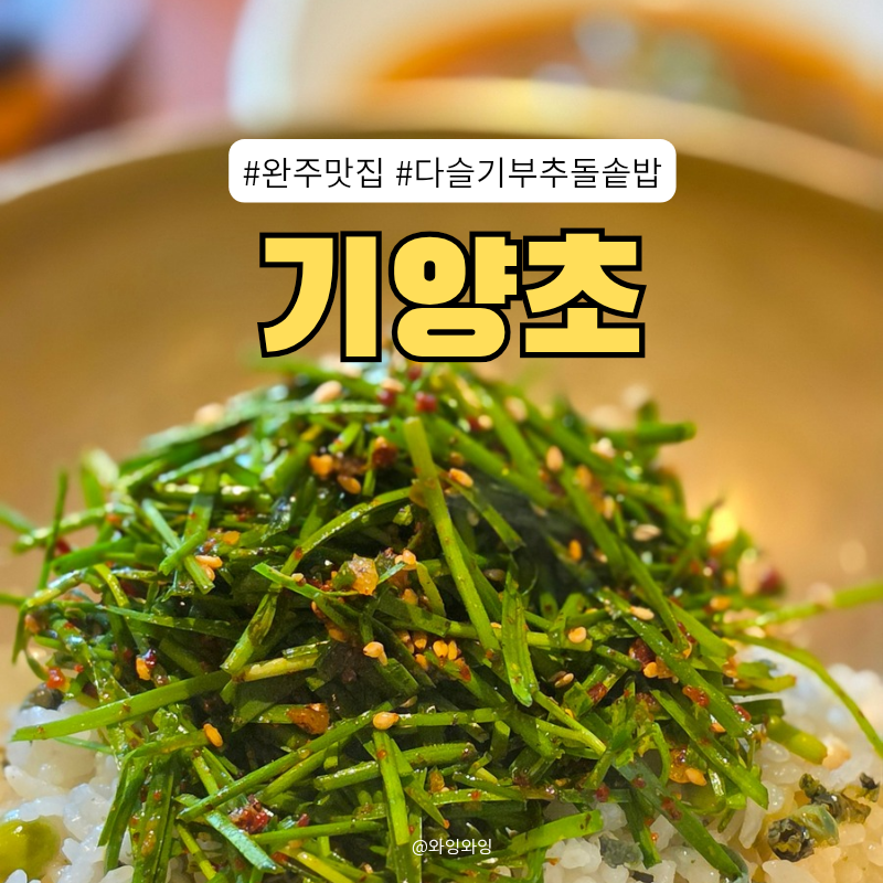 기양초 사진 1