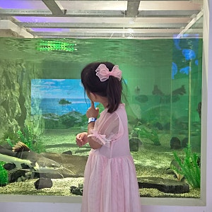 [아쿠아밸리 블루라운지 동성로점] 대구 아이랑 실내놀거리 여름방학 동성로 코스 추천