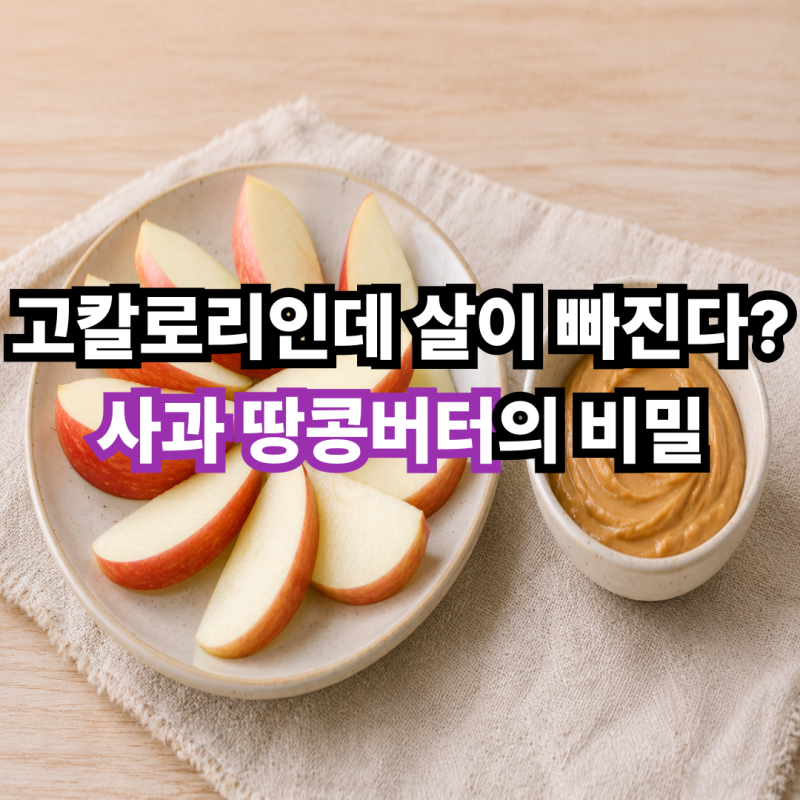 고칼로리인데 살이 빠진다? 사과 땅콩버터의 비밀