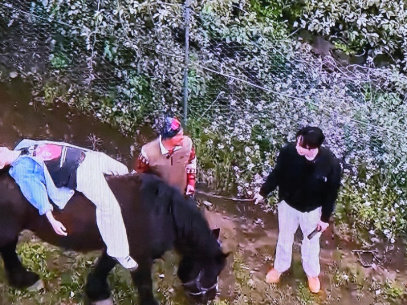 'Kong Kong Farm Farm' Ends, Leaving Warm Healing... Lee Kwang-soo, Kim Woo-bin, Do Kyung-soo, Shin Ye-eun Connect with Animals