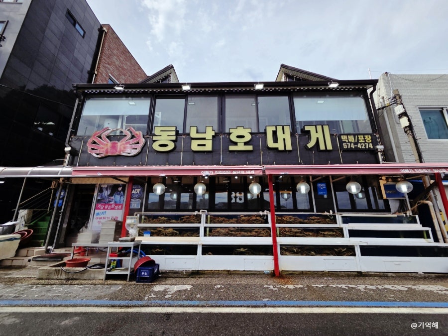 동남호대게 사진 3