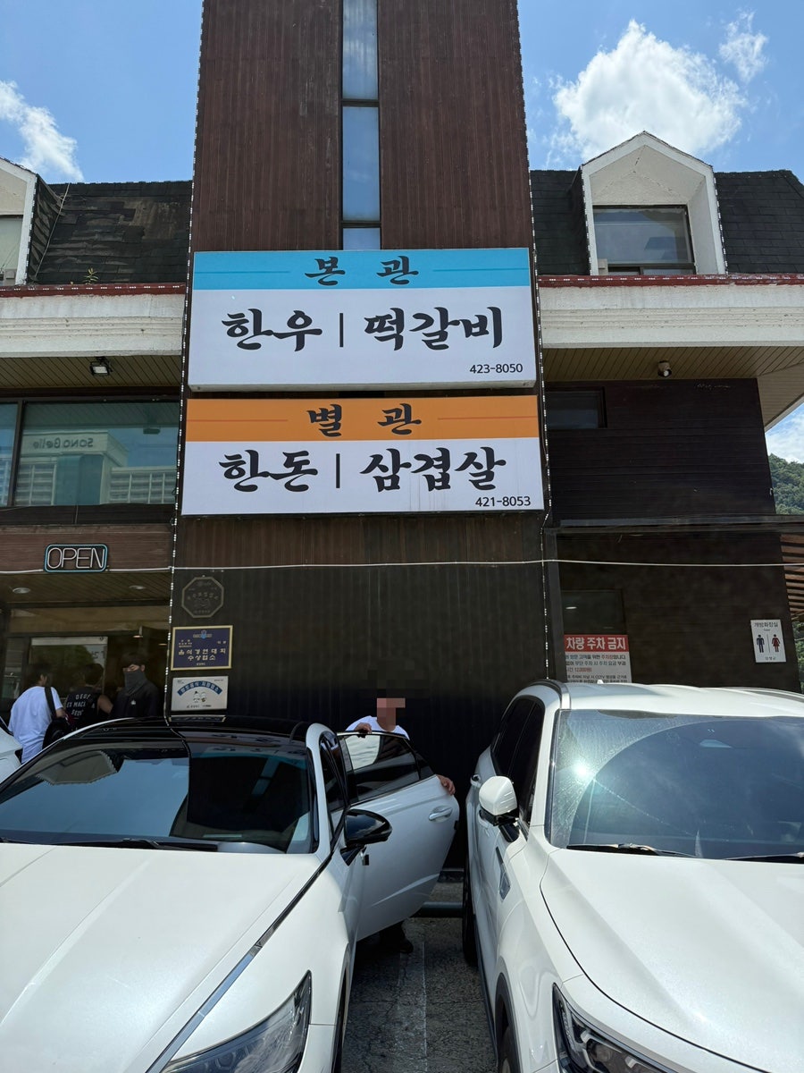 다원 사진 2