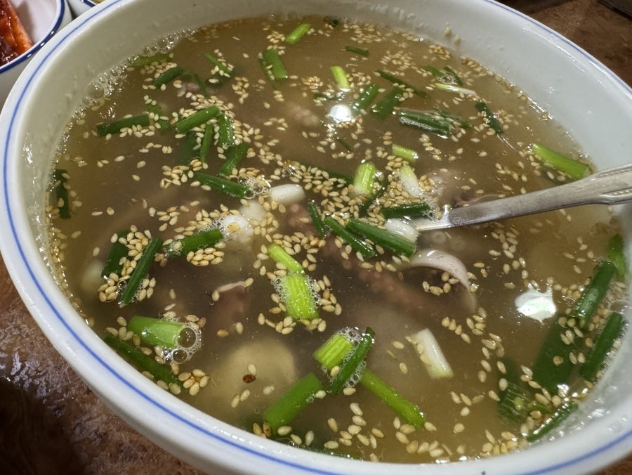 해송 사진 5