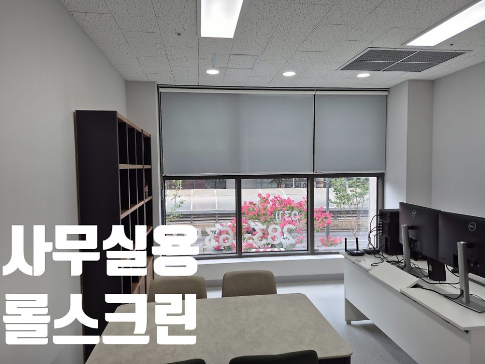 초원 사진 4
