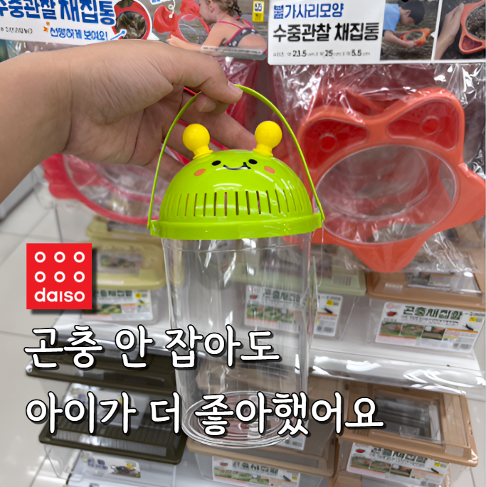 다이소 곤충채집함 정말 필요할까 유아숲 체험 다녀온 솔직 후기