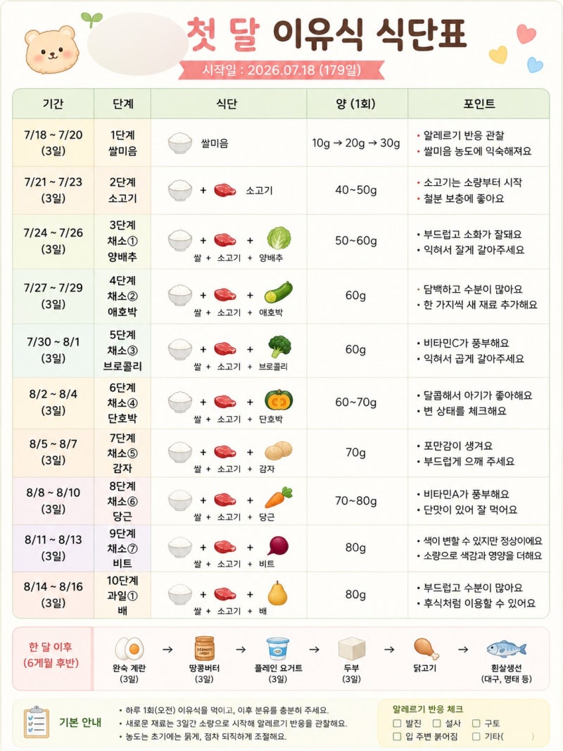 180일 6개월 아기 첫 이유식 준비하기! | 초기 이유식 준비물 식단표 두유제조기 다이소 추천