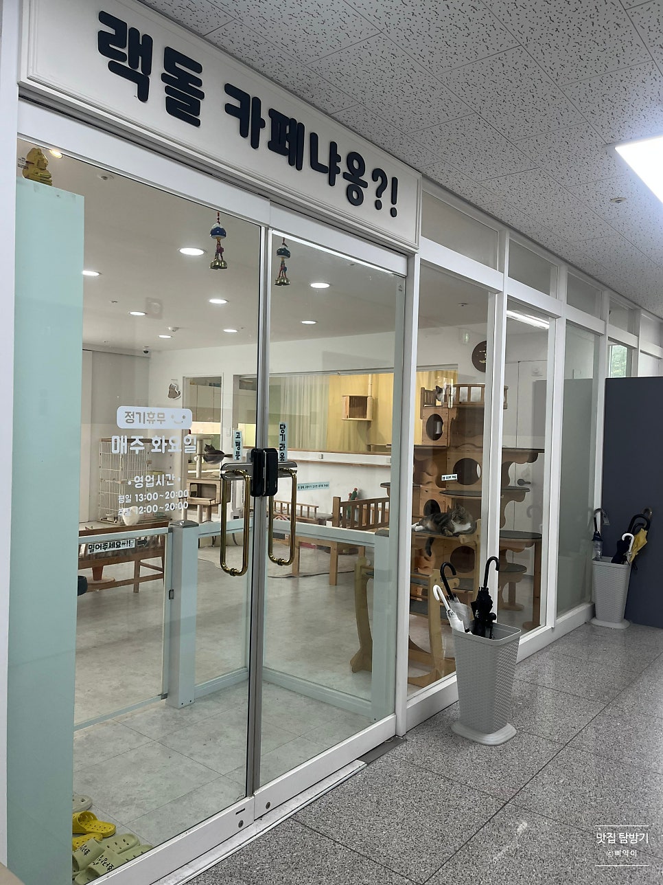 랙돌카페냐옹 사진 5