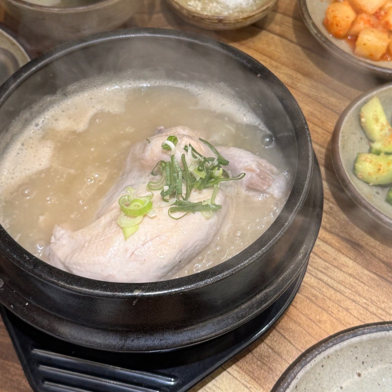 창원 삼계탕 찐맛집 추천 국화삼계탕 솔직후기