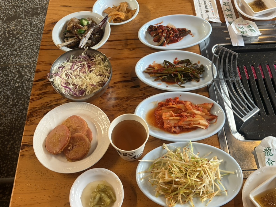 오리 사진 5