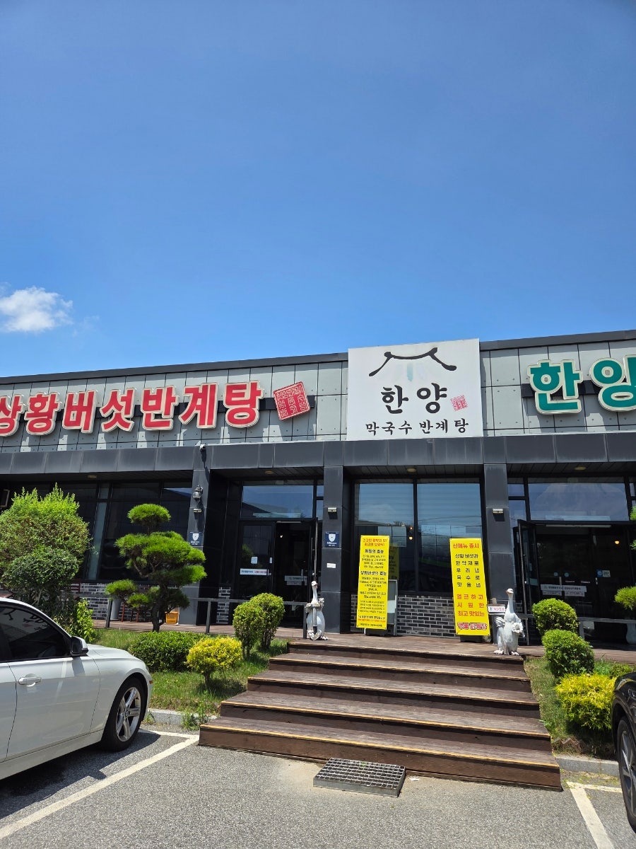 한양막국수 상황버섯반계탕 사진 2