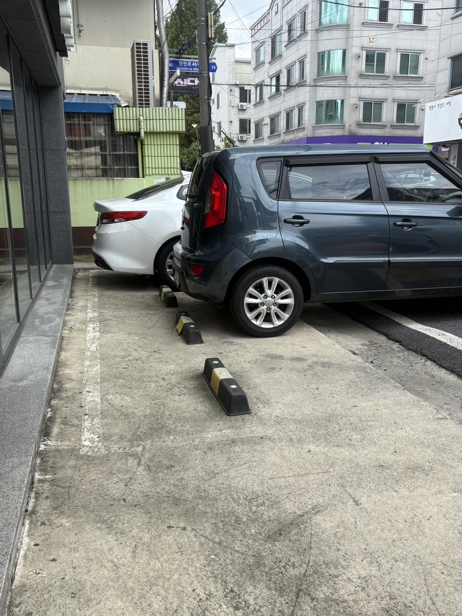 만화쉔 사진 2