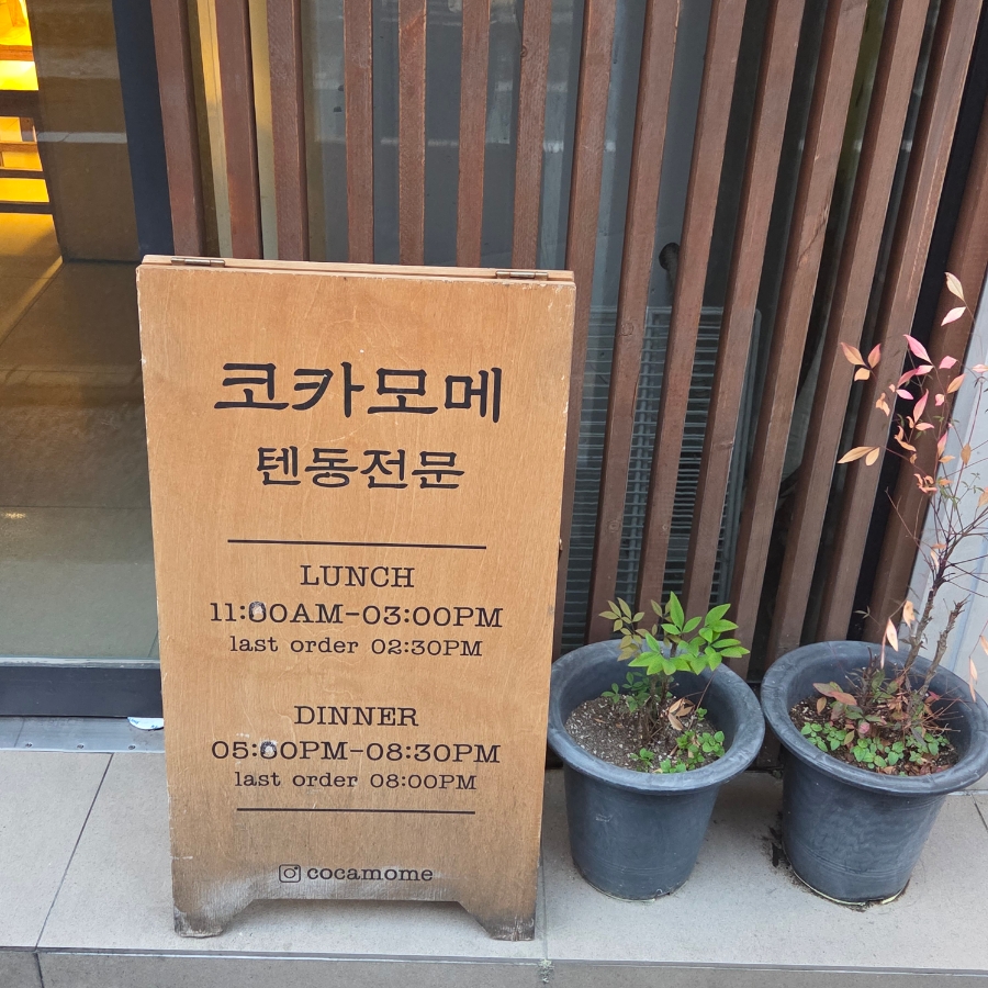 코카모메 사진 2