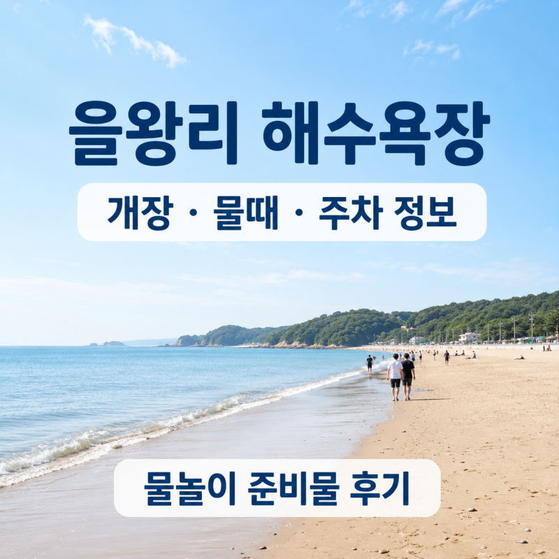 을왕리 해수욕장 개장 물때 주차 정보 및 물놀이 준비물 후기