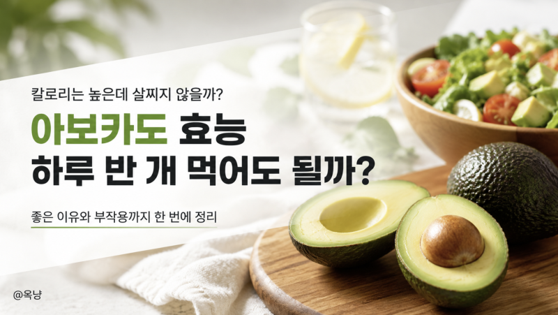 아보카도 효능 칼로리 하루 반 개 먹으면 좋은 이유와 부작용