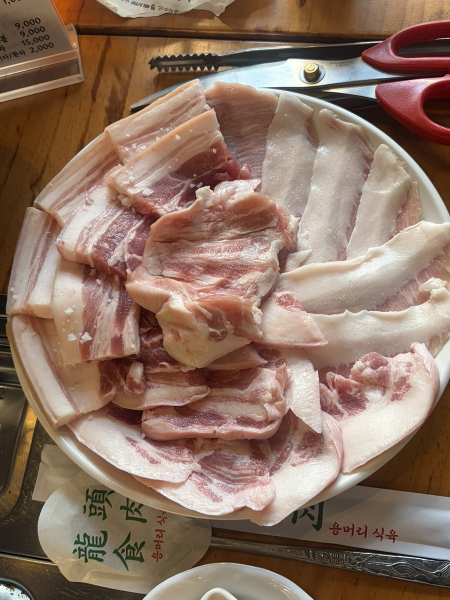 오리 사진 6