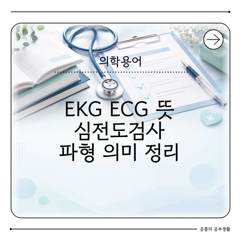 EKG ECG 뜻 무엇일까? 심전도검사 의학용어와 파형 정리
