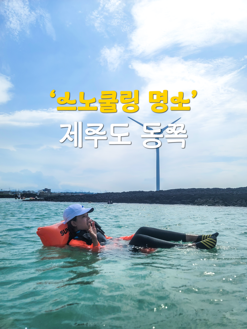 제주도 동쪽 함덕, 김녕, 코난 해수욕장 스노쿨링 스팟 3곳