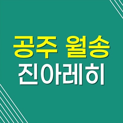 공주월송 진아레히 금흥동 아파트 금흥2지구 미분양 입지 계약조건