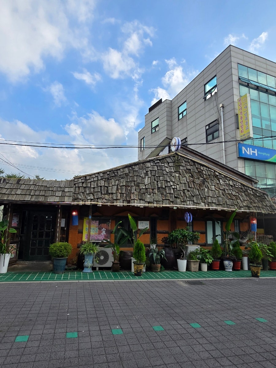 토가 사진 2