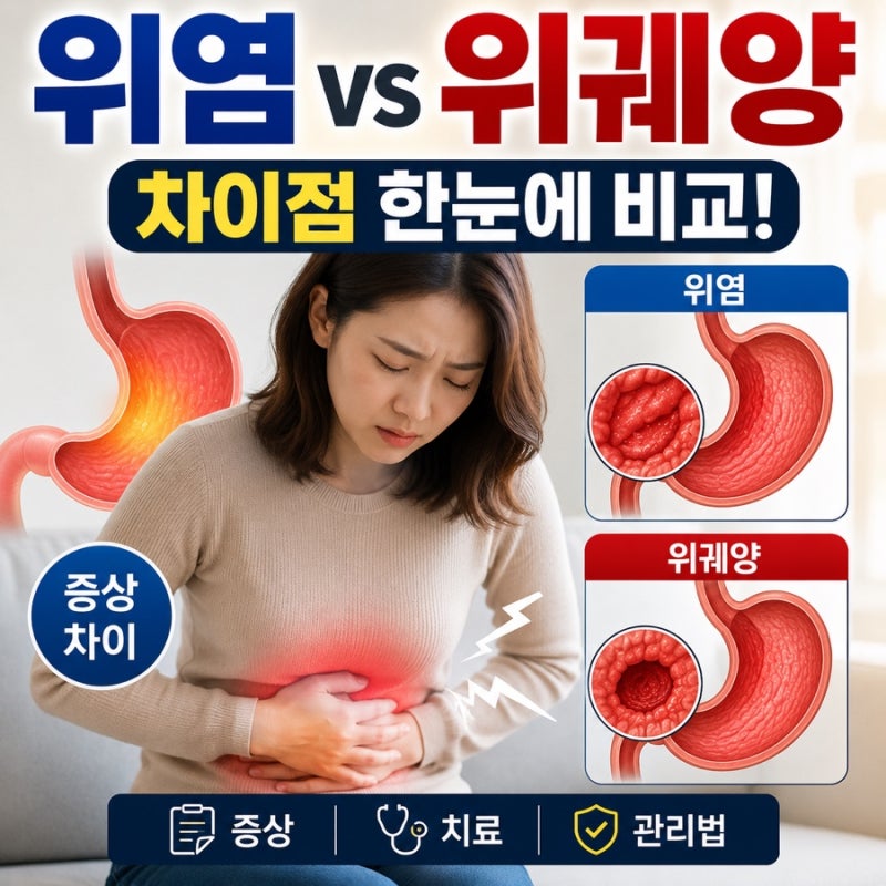 위염과 위궤양 차이｜증상부터 치료까지 한눈에 비교