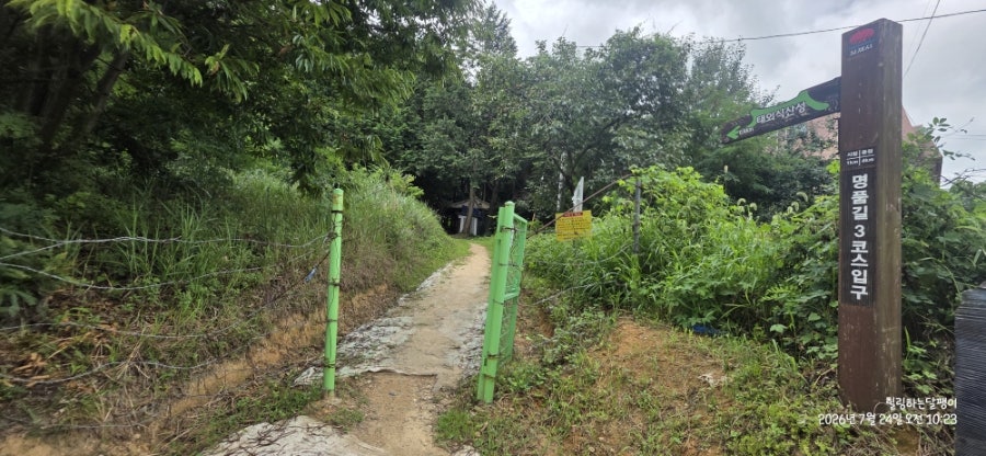 봉두산 사진 6