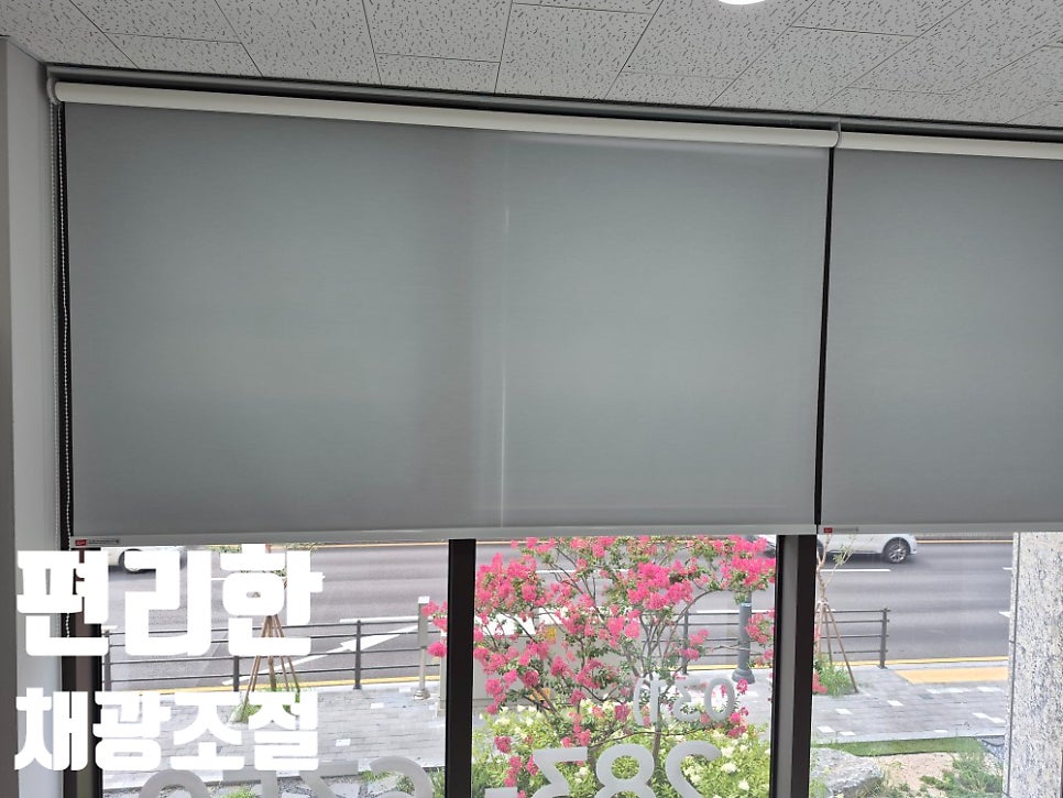 초원 사진 3
