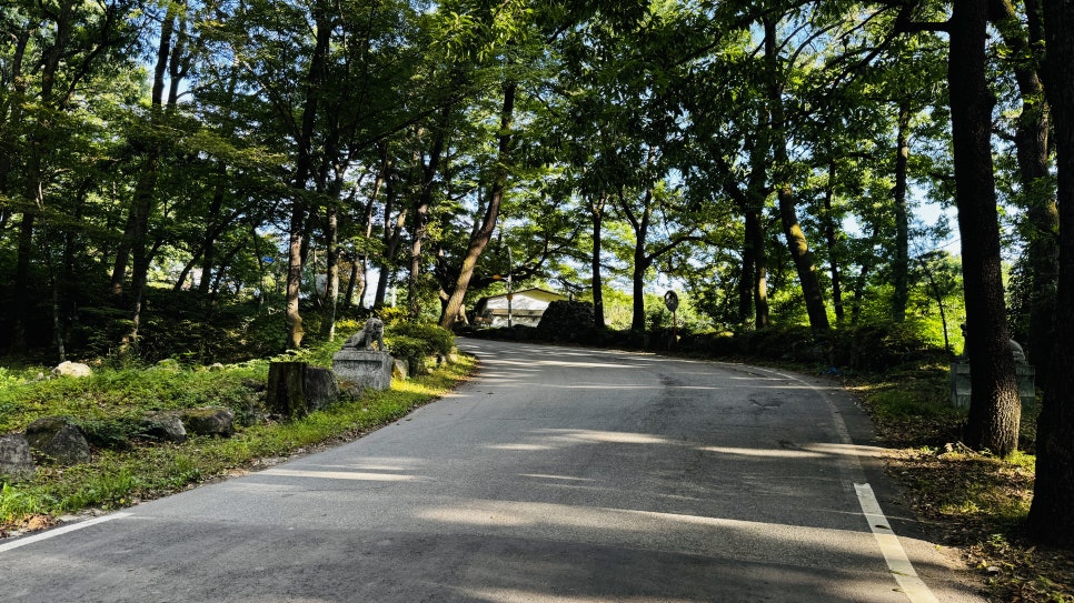 동호숲 사진 2