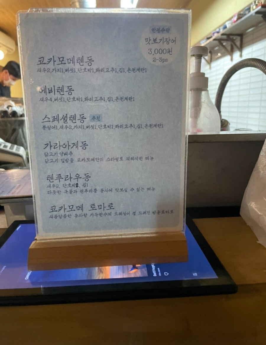 코카모메 사진 4