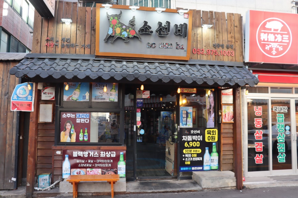 소선비 사진 2