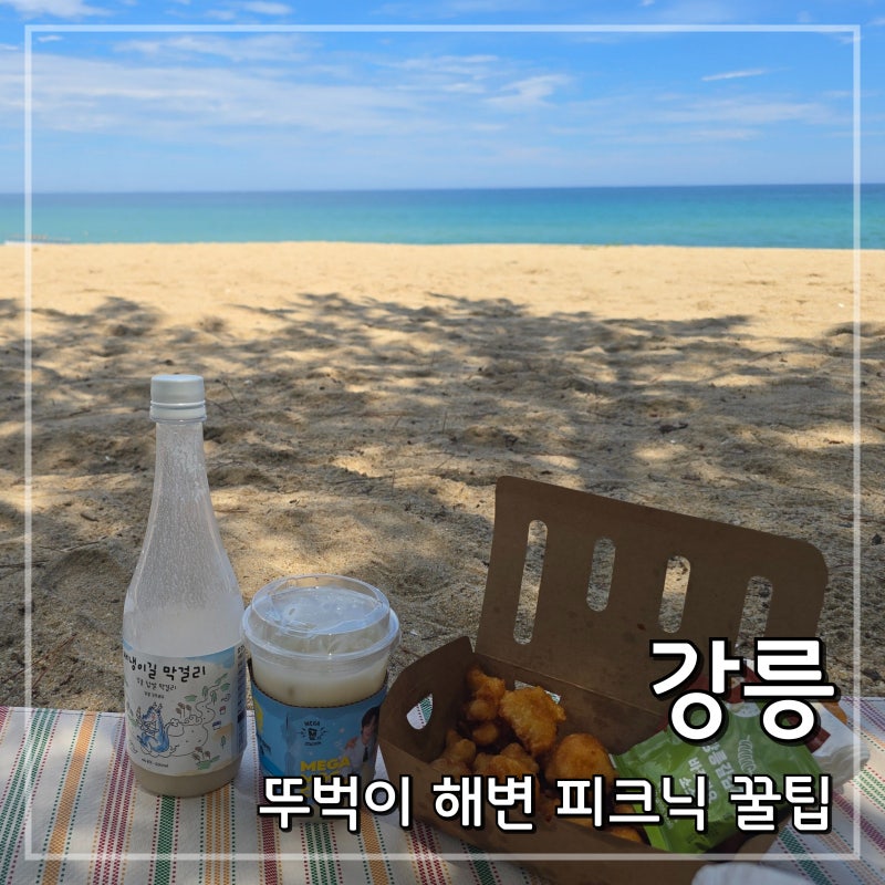 강릉 뚜벅이 여행 : 중앙시장 먹거리 들고 혼자 떠난 강문해변 피크닉 꿀팁