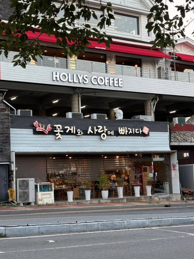 해운대 - 꽃게와 사랑에 빠지다
