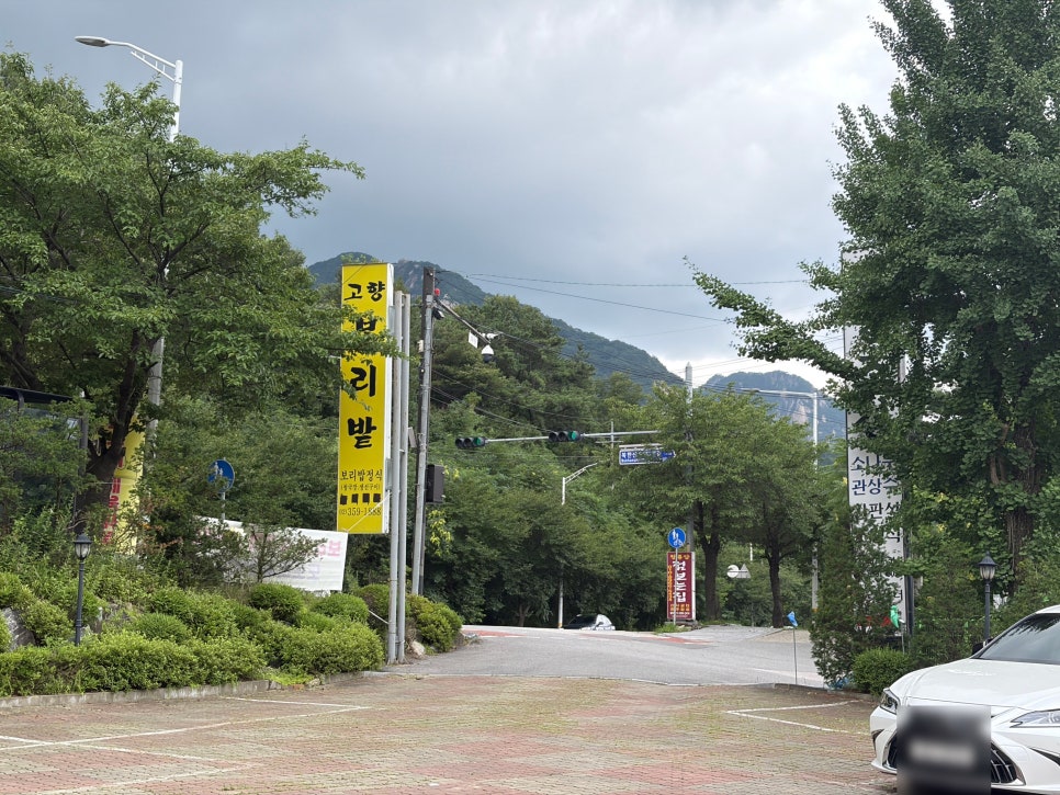 고향보리밭 사진 2