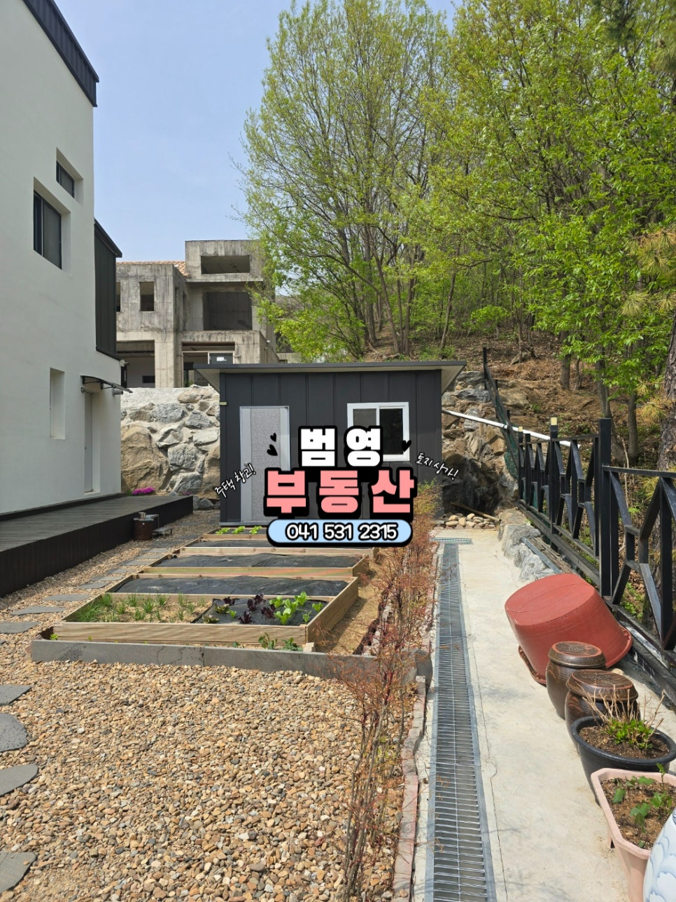 들꽃 사진 5