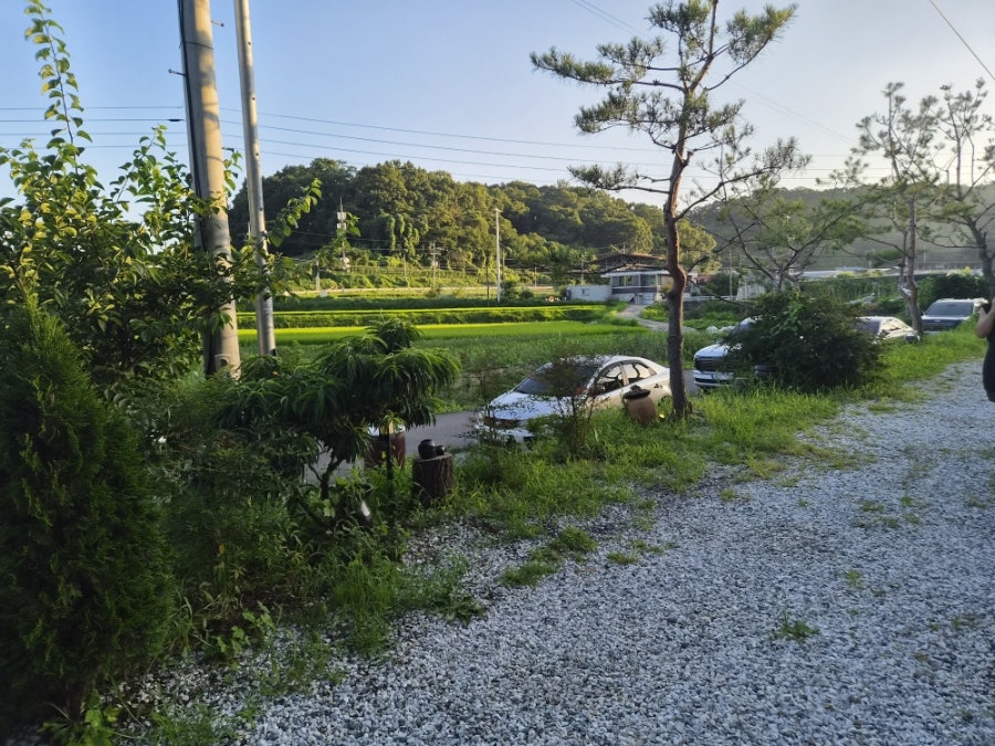 하동오리 사진 5