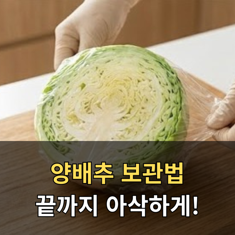 양배추 보관법, 반 통도 오래가는 냉장, 냉동 보관 방법