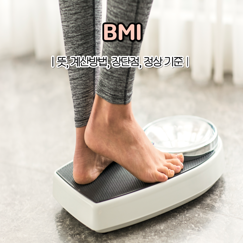 BMI 계산 방법 남자 여자 적정 지수 체질량지수 중요할까요?