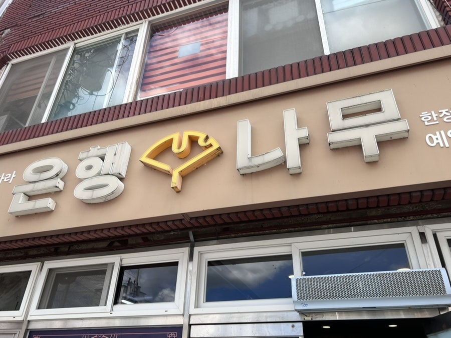 은행나무 사진 4