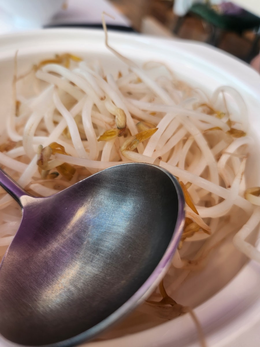 카오삐약 사진 6