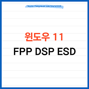 윈도우 11 FPP DSP ESD 차이 비교