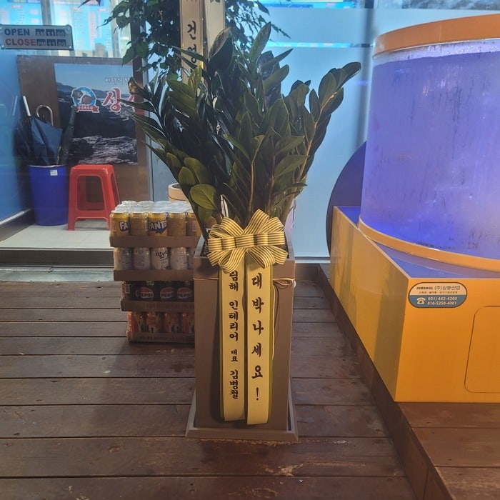 꽃피는산골 사진 1