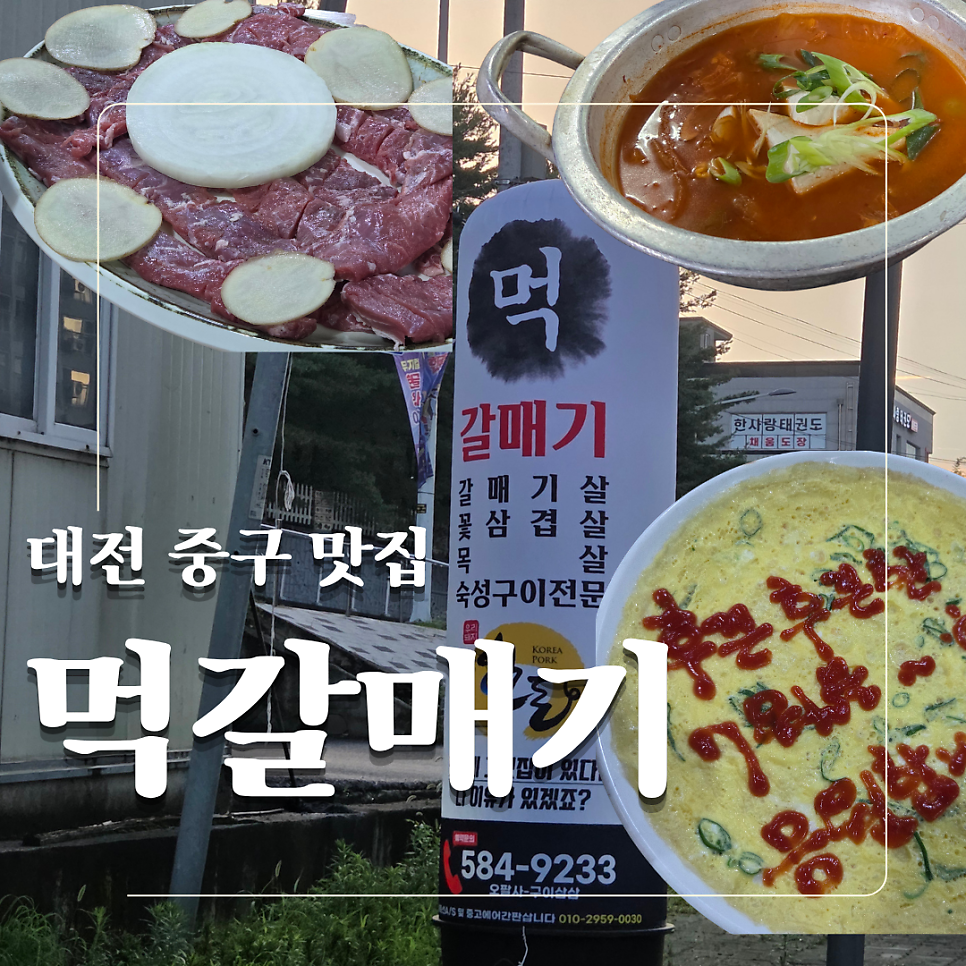 먹갈매기 사진 1