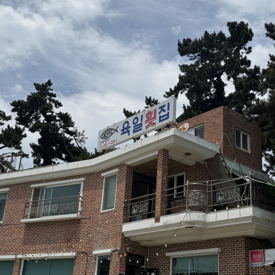 육일횟집 사진 1