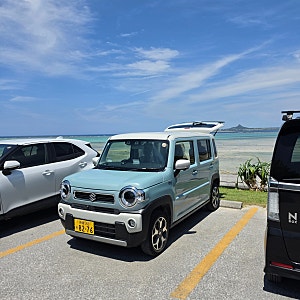 [오키나와 5박6일] 비세자키 스노클링, 단보라멘, 블루씰 나고점, 이자카야 덴덴_셋째날(260712~....