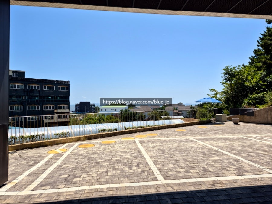 을항 사진 3