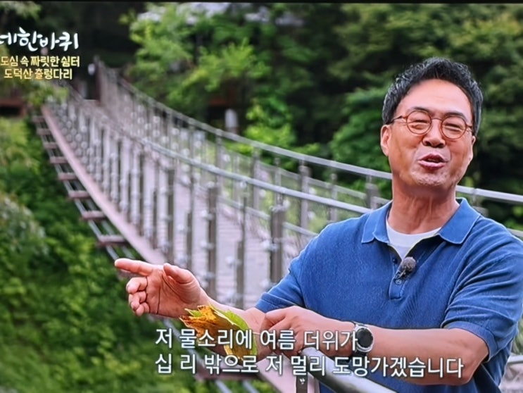 "광명동굴 다음엔 <b>도덕산 출렁다리</b>로 가세요"… 동네한바퀴... 