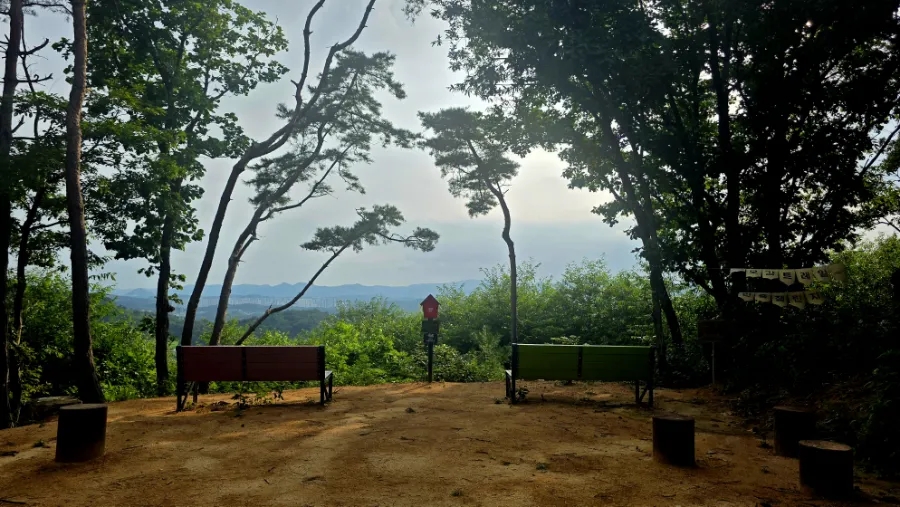 사니다카페 사진 1