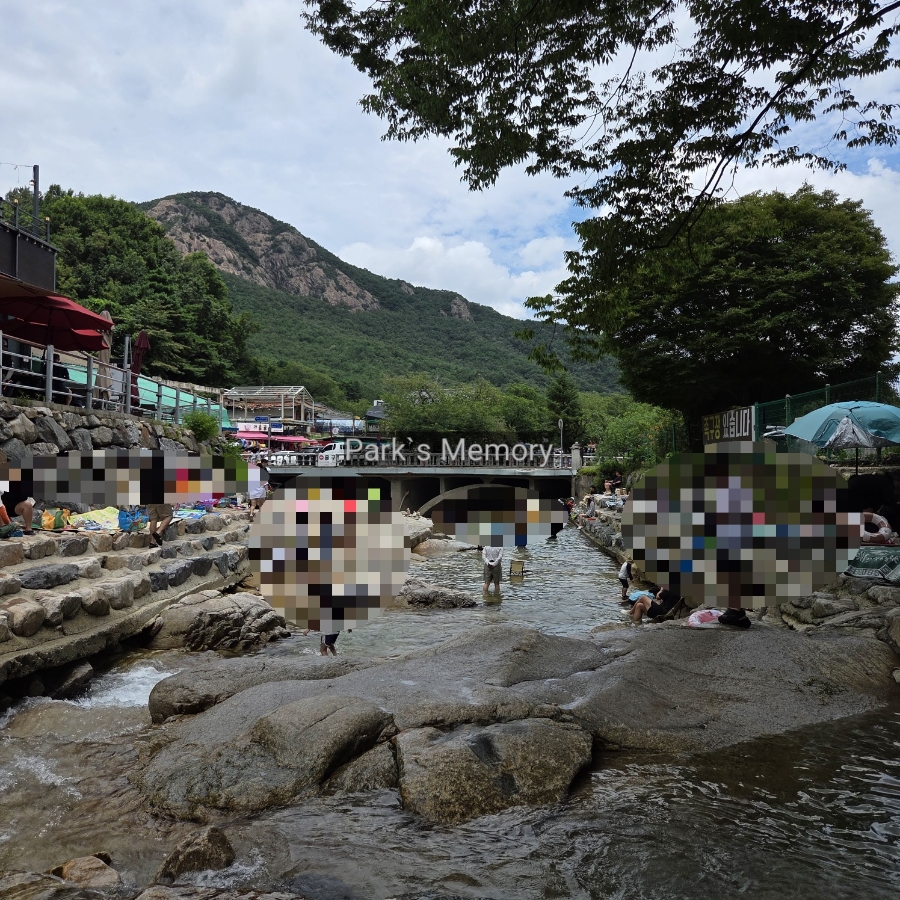 소풍 사진 4