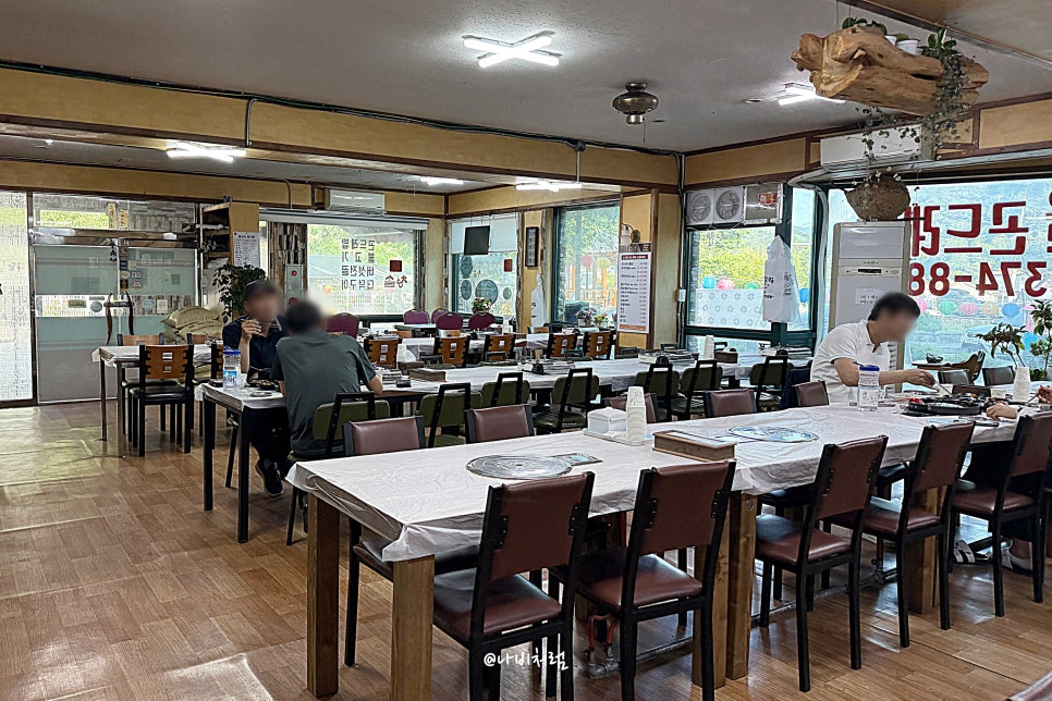 청솔 사진 5