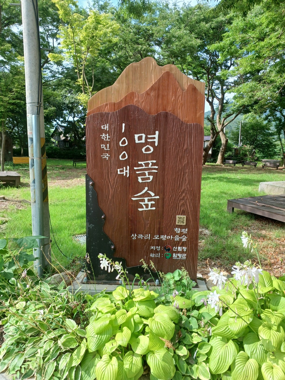 모평마을숲 사진 6