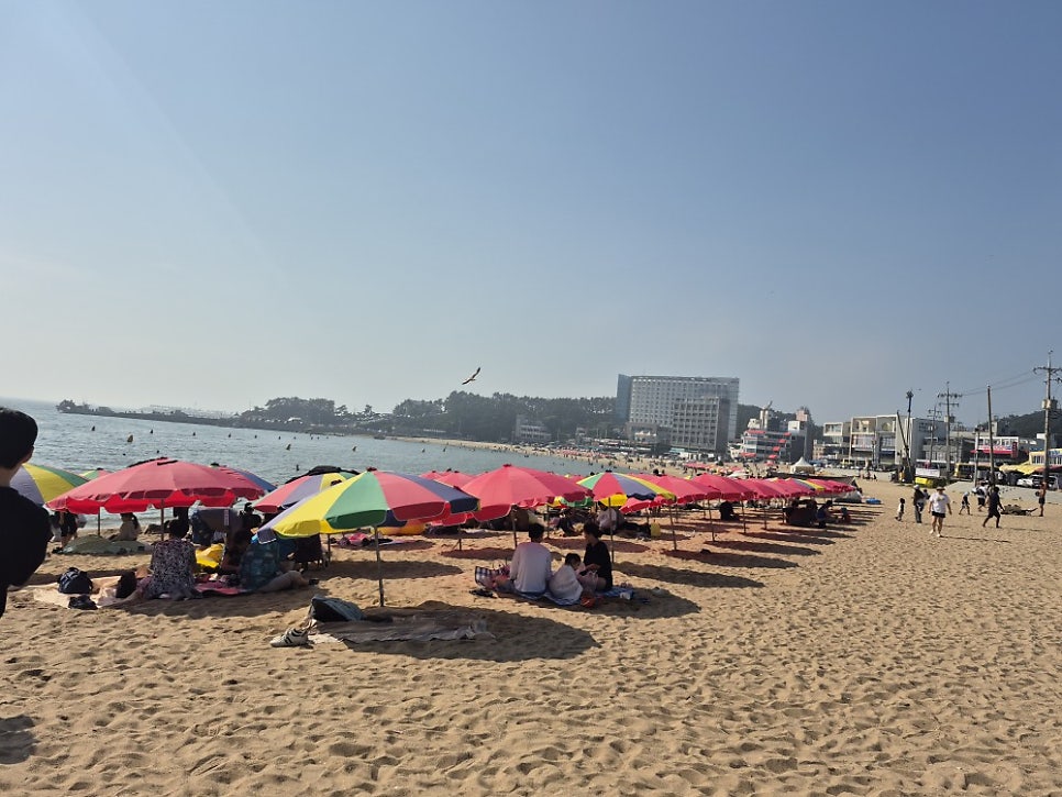 해송쌈밥 사진